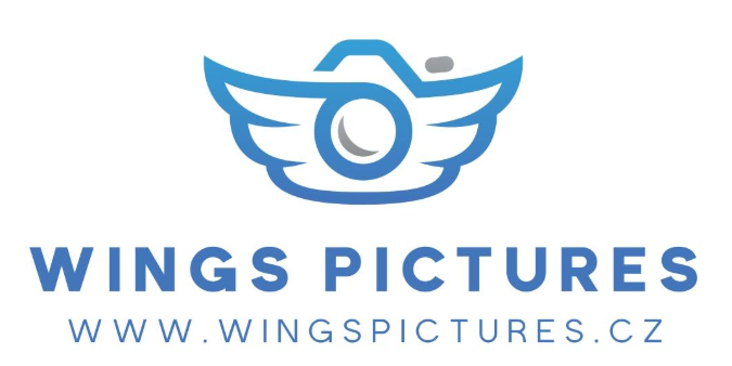 Svatební video vám dnes udělá kdekdo. Ale udělat opravdu skvělý film, tak aby v něm bylo vše do detailu zachyceno a přitom vše působilo přirozeně, to už vyžaduje cit a umění se dívat. Zkuste oslovit Wings pictures, tady nešlápnete vedle.